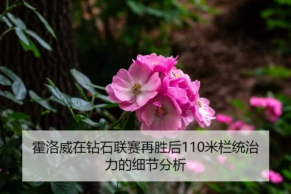 huo-luo-wei-zai-zuan-shi-lian-sai-zai-sheng-hou-mi-lan-tong-zhi-li-de-xi-jie-fen-xi-1-397.jpg