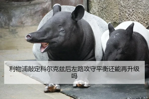 li-wu-pu-qiao-ding-ke-er-ke-zi-hou-zuo-lu-gong-shou-ping-heng-hai-neng-zai-sheng-ji-ma-2-580.jpg