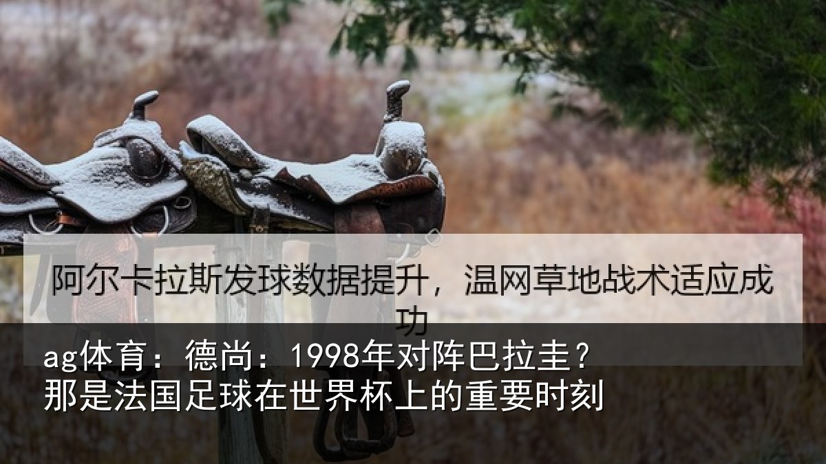ag体育:德尚相关情况法国相关情况重要时刻