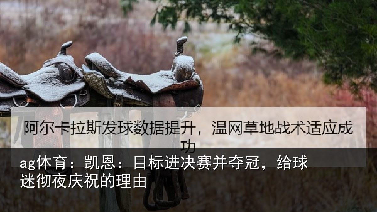 ag体育：凯恩：目标进决赛并夺冠，给球迷彻夜庆祝的理由