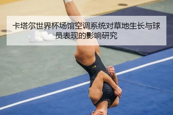 卡塔尔世界杯场馆空调系统对草地生长与球员表现的影响研究