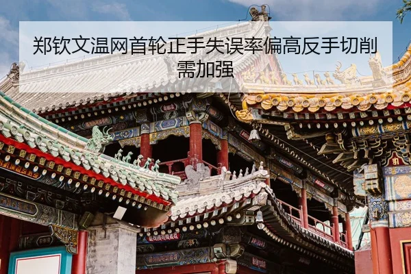 zheng-qin-wen-wen-wang-shou-lun-zheng-shou-shi-wu-lv-pian-gao-fan-shou-qie-xiao-xu-jia-qiang-3-389.jpg