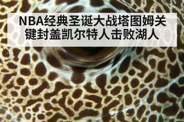NBA经典圣诞大战塔图姆关键封盖凯尔特人击败湖人