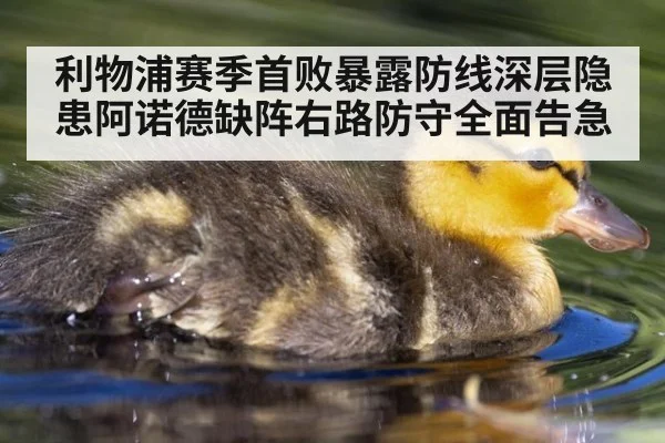 利物浦赛季首败暴露防线深层隐患阿诺德缺阵右路防守全面告急